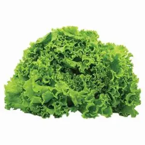 Salad Leaves