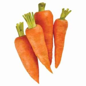 Carrot