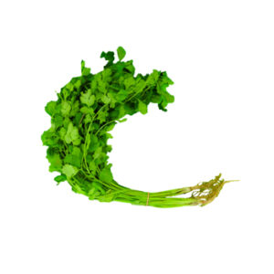 Coriander Leaves