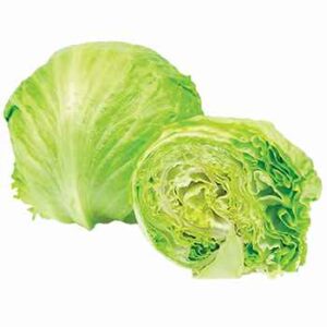 Iceberg Lettuce