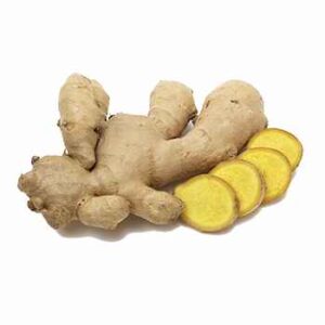 Ginger