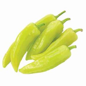 Capsicum
