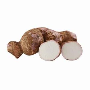 Manioc