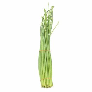 Onion Flowers