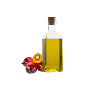 Palm Oil