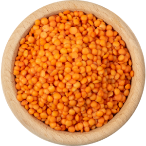 Dhal